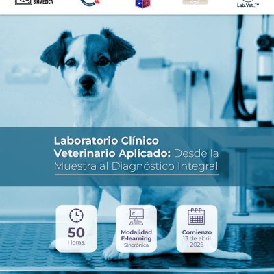 Instagram_Laboratorio Clínico Veterinario Aplicado